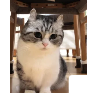 🥰