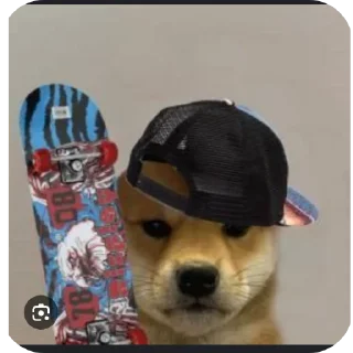 🐶
