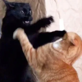 🤬
