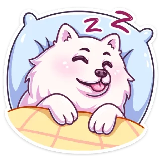 😴