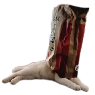 🛋