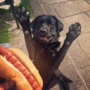 😁