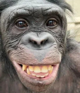 😃