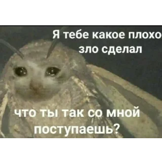 😭