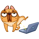 💻