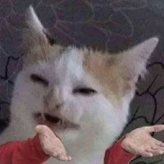 😺