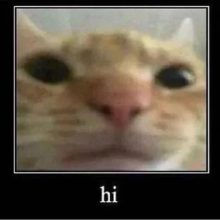 👋
