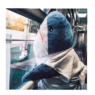 shark