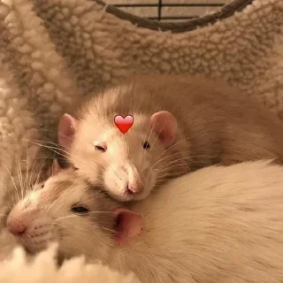 ❤️