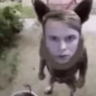 🥴