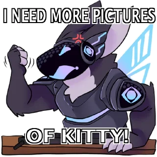 JF_Kitty