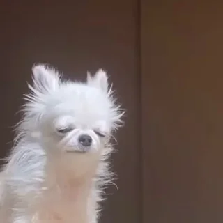 🥱