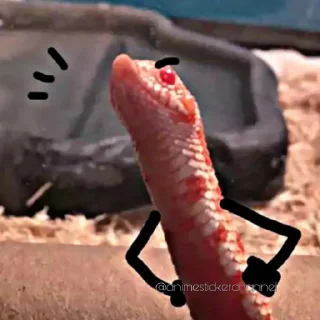 😒