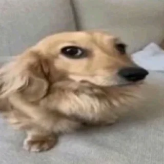 🤍