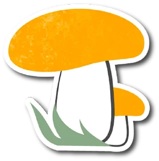 🍄