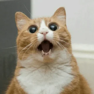 😙