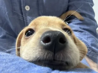 😆