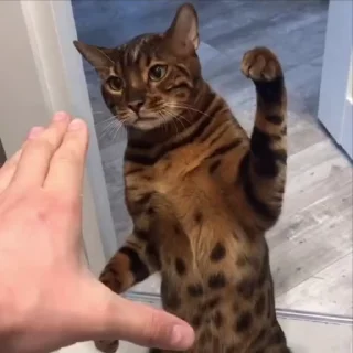 😠