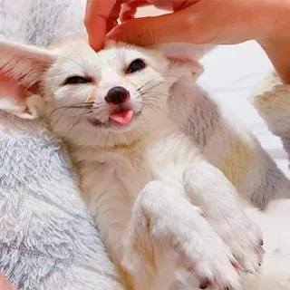 😋