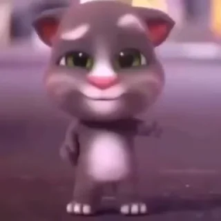 🤍