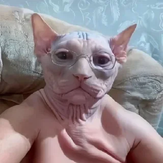 🥸