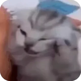 🤬