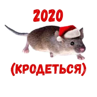🐭