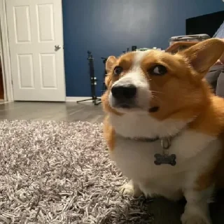 😱