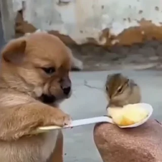 😰