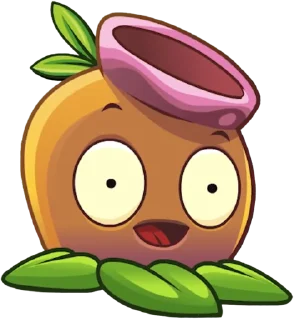 🌰