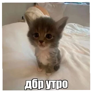 😄