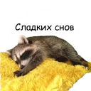 😴