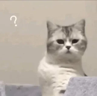 🤨