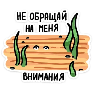 🙅‍♂️