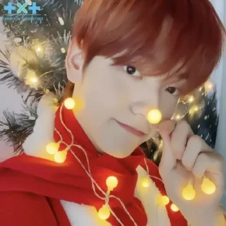 🎄