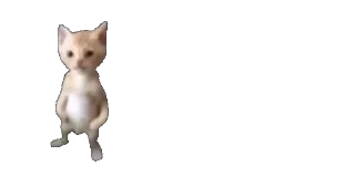🐈