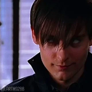 🕷