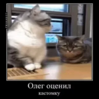 😻