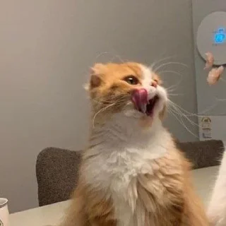 😛