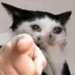 😣