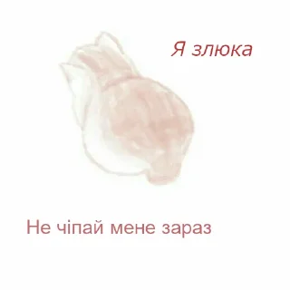 🤧