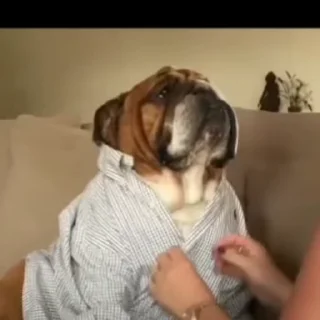 😎