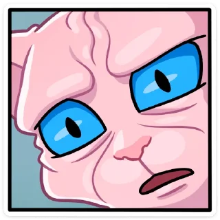 😳