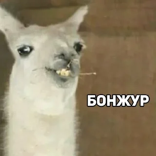 👏