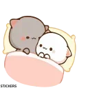 😽