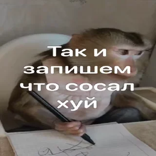 ✍