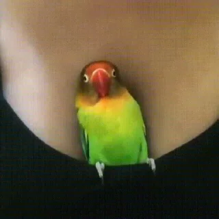 🥰