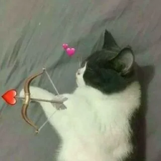 😍