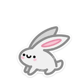 🐰