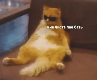 😎